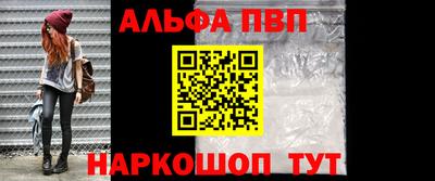 сатива Кингисепп