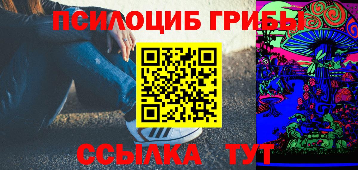 Псилоцибиновые грибы Cubensis  Вход с VPN  Красный Сулин 